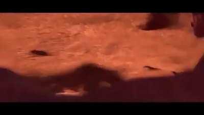 He will return, someday.