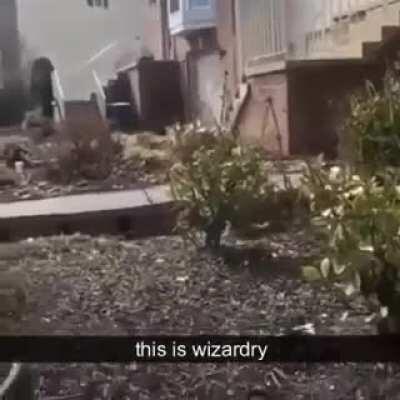 Transformation jutsu or something