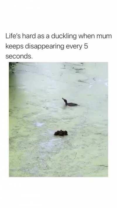 That happy moment when they see their mom