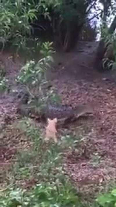 These owners are fucking retarded