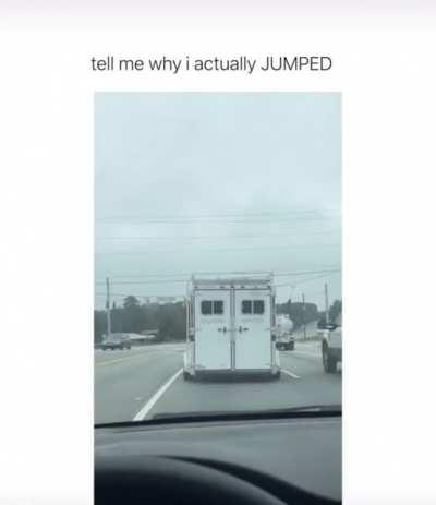 Horses? That's weird...