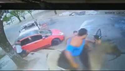 A normal day in Milkland