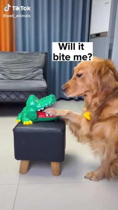 First I was scared, but it was kinda fun after all