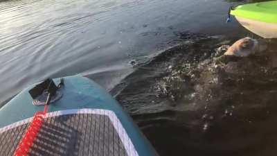 Mistakes were made...