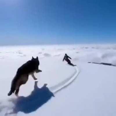 Having fun and feeling free, high altitude zoomies