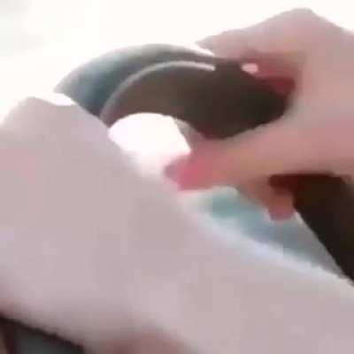 An accident (watch to the end please)