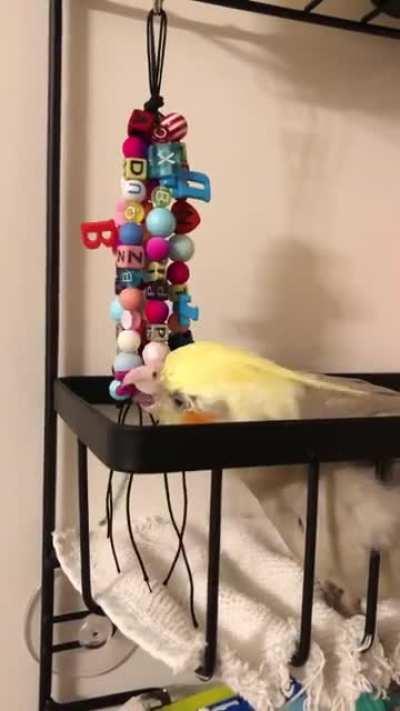 I made Pidgey a toy since I’ve been beading recently. What do you think? I’m calling it Alphabet Soup!