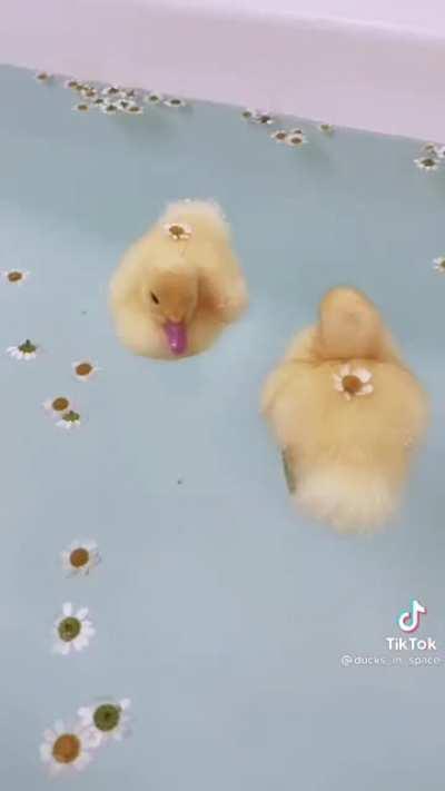 OKAY IM SORRY I HAVE TO SHARE THIS ITS THE CUTEST FUCKING THING EVER