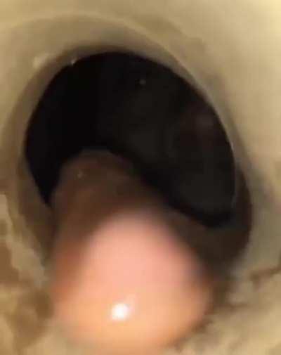 Just let me eatcha one time.