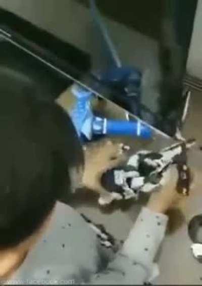 ketakutan para pemilik action figure. jika keponakan datang