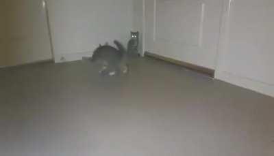 The derp is strong in this one.