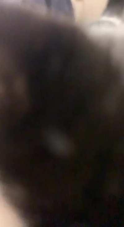 Moo is blind and still learning his surroundings