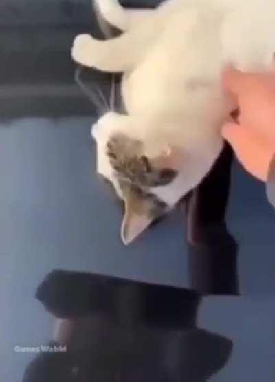 Ah, Freeman, it’s you