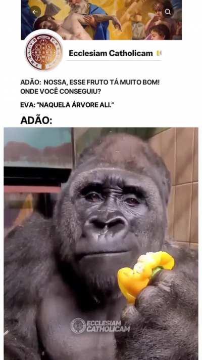 Ta certo isso?