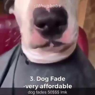 I'm 15 and this is yeet