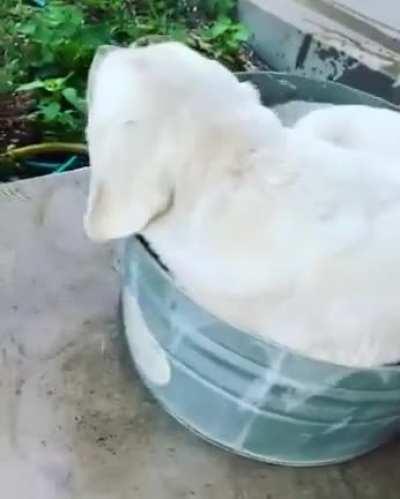 If Duke fits, Duke sits . . .