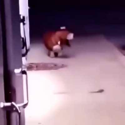 What in video editation