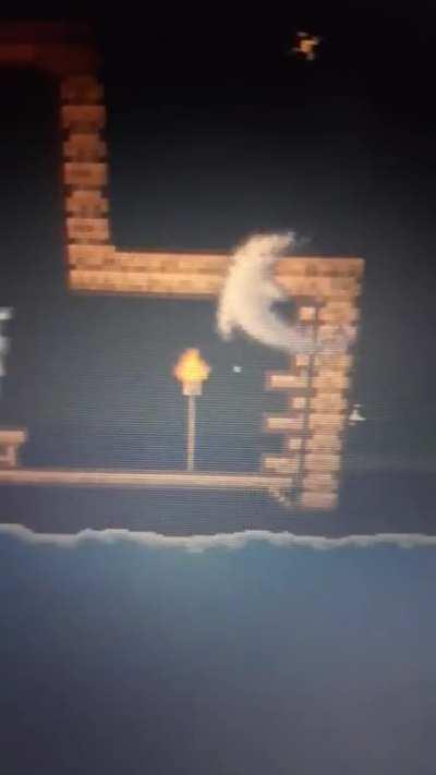 Wow, ultime roll dolphin