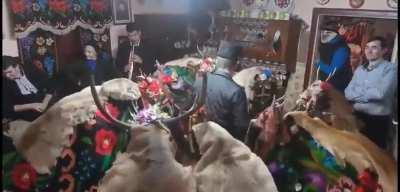 Most normal Romanian tradition, Merry Christmas yall!!!