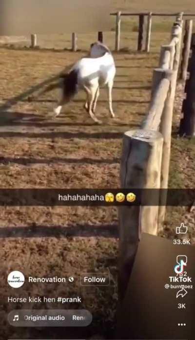 ativou o ultra instinto