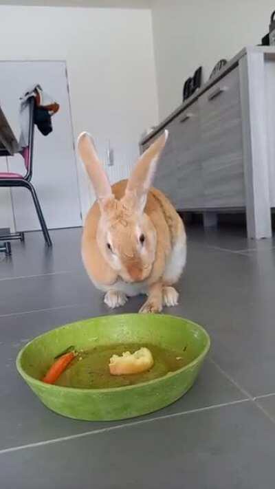 Lilly enjoying her birthday cake. She turned 4 last Sunday!