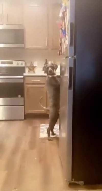 What are you doing, mister?