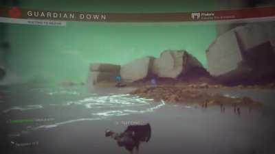 Pro tip: Don't try to take selfies with Cabal, they don't like it