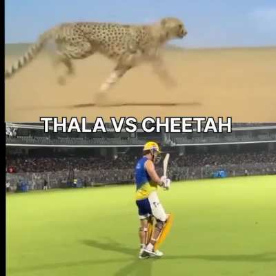 Thala walking >>>>> Cheetah running 