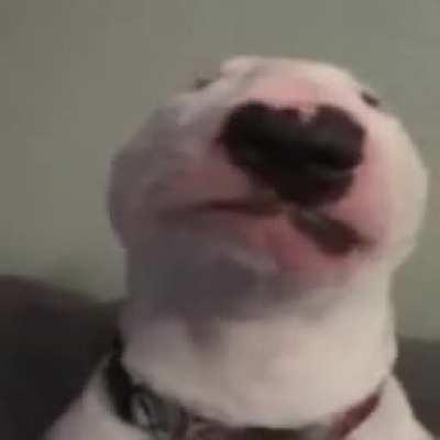 I'm 15 and this is yeet