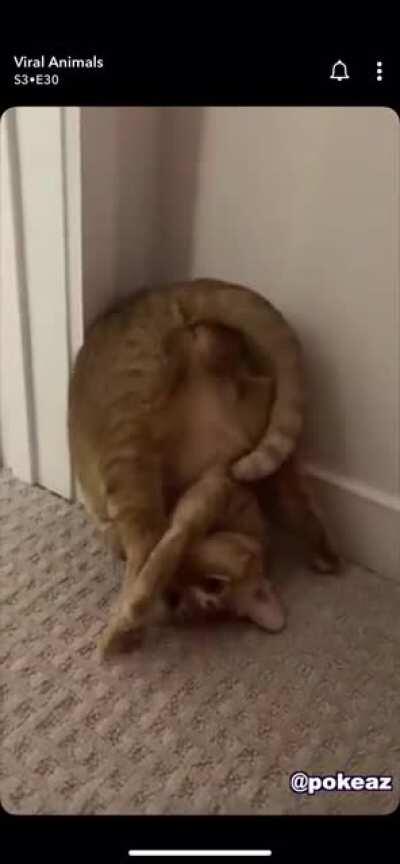 😂😂😂 stolen from Snapchat