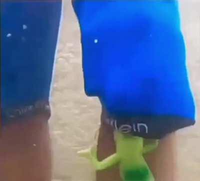 New Indian lore just dropped