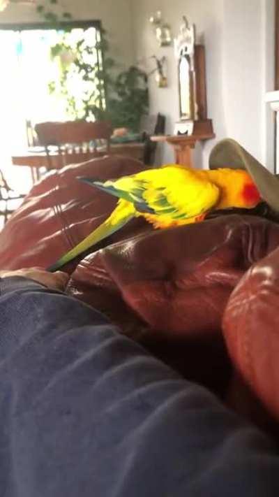 Don’t tell them where the party’s at!