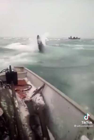 Eskimos on a boat being attacked and chased by an orca whale