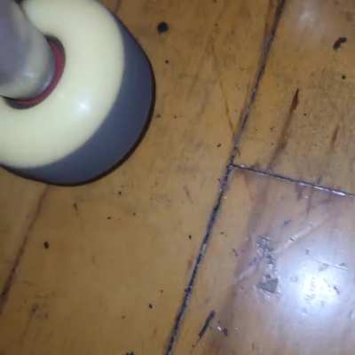 Setup i got years ago that i kept in the closet. Wheels sound a bit weird and uneven to me. Is it fine to keep skating or should i do something?