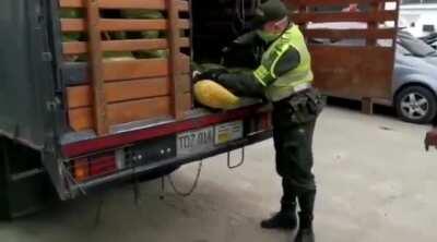 You have entered Albania