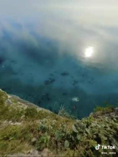 Saw this on tik tok. Honestly surprised it worked so well