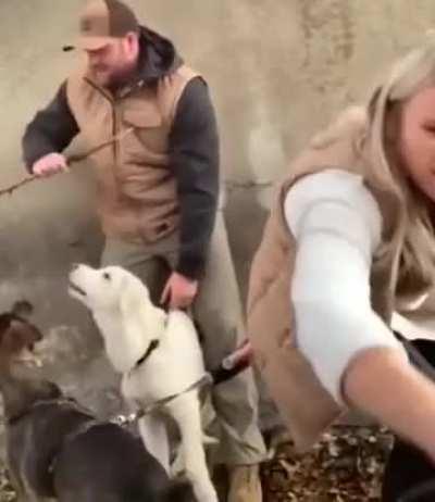 My dog-walking people need me