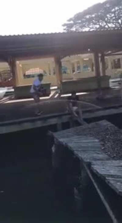 Jumping on a old wooden dock