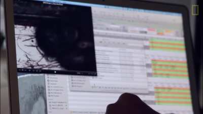 Sharing is caring. (hoomans studying monke empathy)