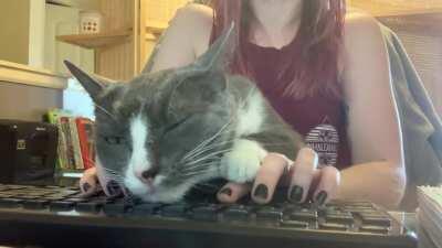 Non-consensual petting