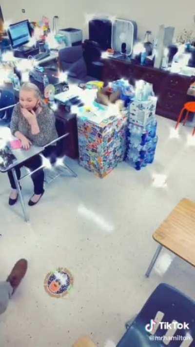 The American education sytem