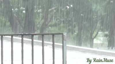 Heavy Rain