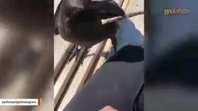 THEY'RE LEARNING TOO FAST