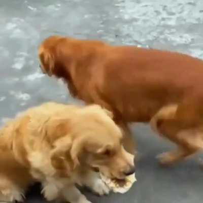 Como é realmente o divórcio