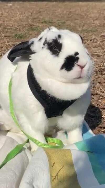 Spring has sprung in Philly