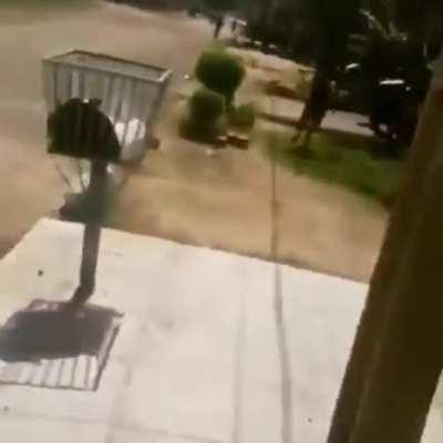 novo trauma adquirido