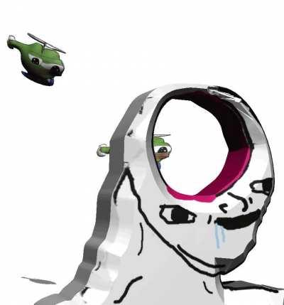 flight of the amphibians