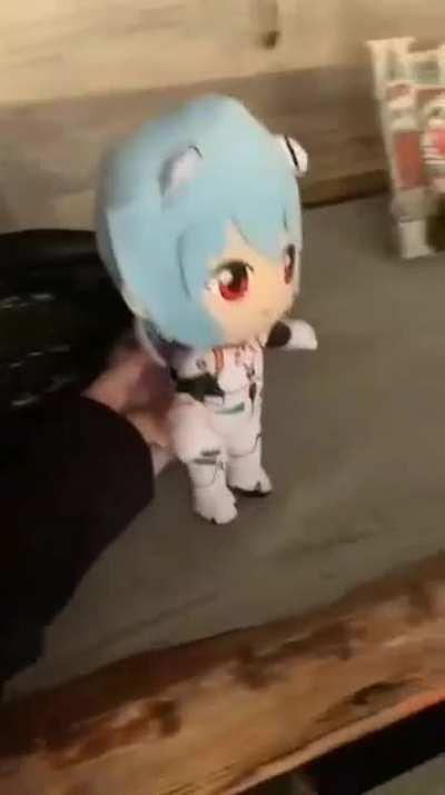 Rei Chiquita's good day (stolen from Facebook)