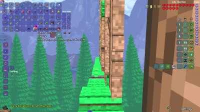 first person terraria