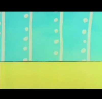 The world's cutest kitty cat